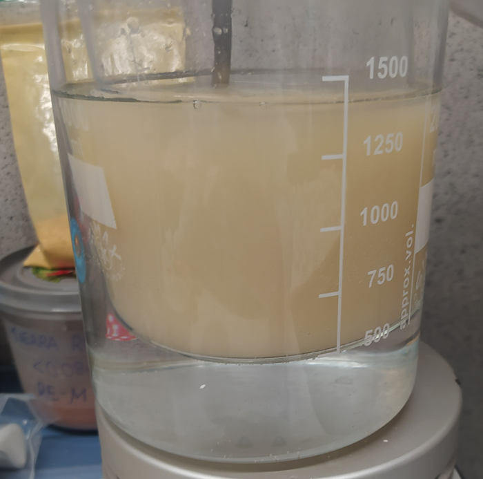 3. Preparation of rabbit glue binder