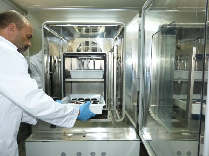 Gonzalo B. Bruneti working at the laboratory of the IST