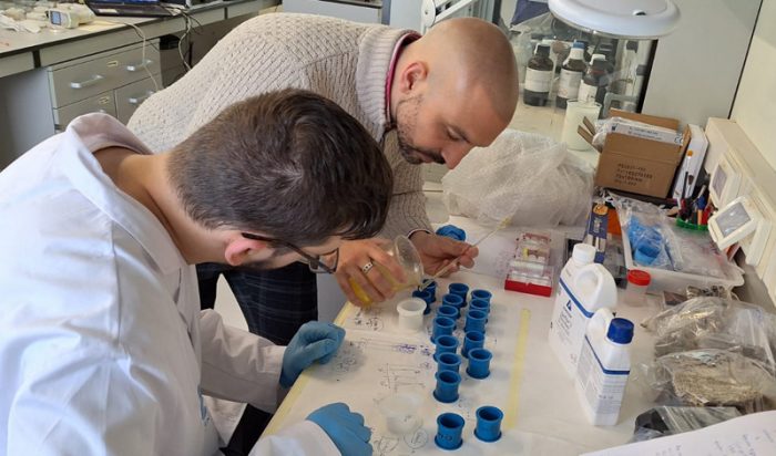 Javier and Iago Pozo preparing cross-sections