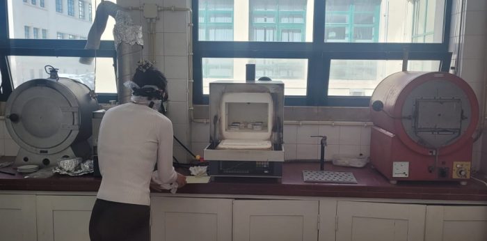 Roberta introducing samples in the oven